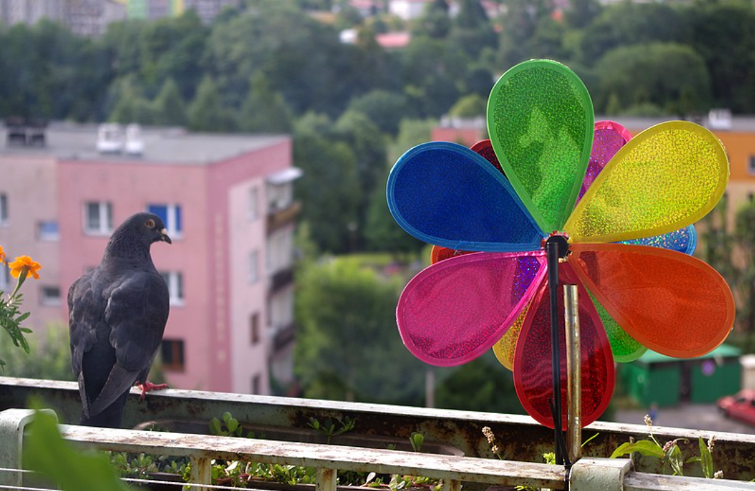 Decorazioni per balconi - un popolare repellente per piccioni