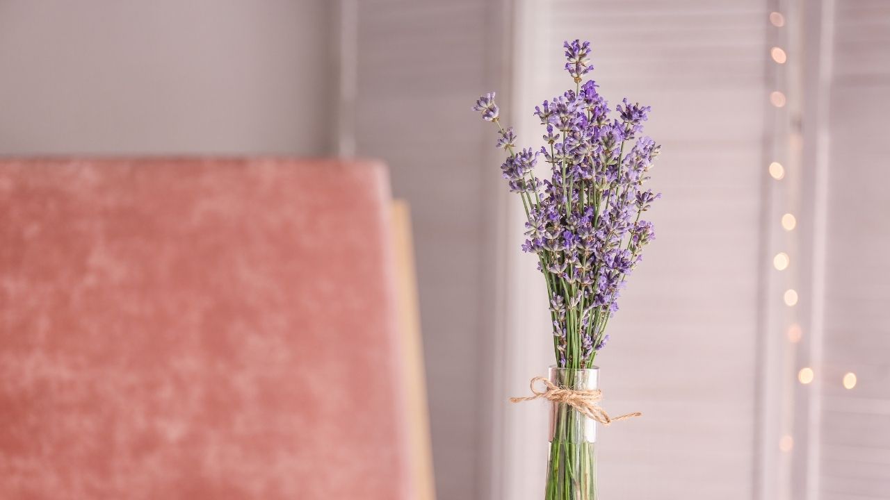 French country decor lavender