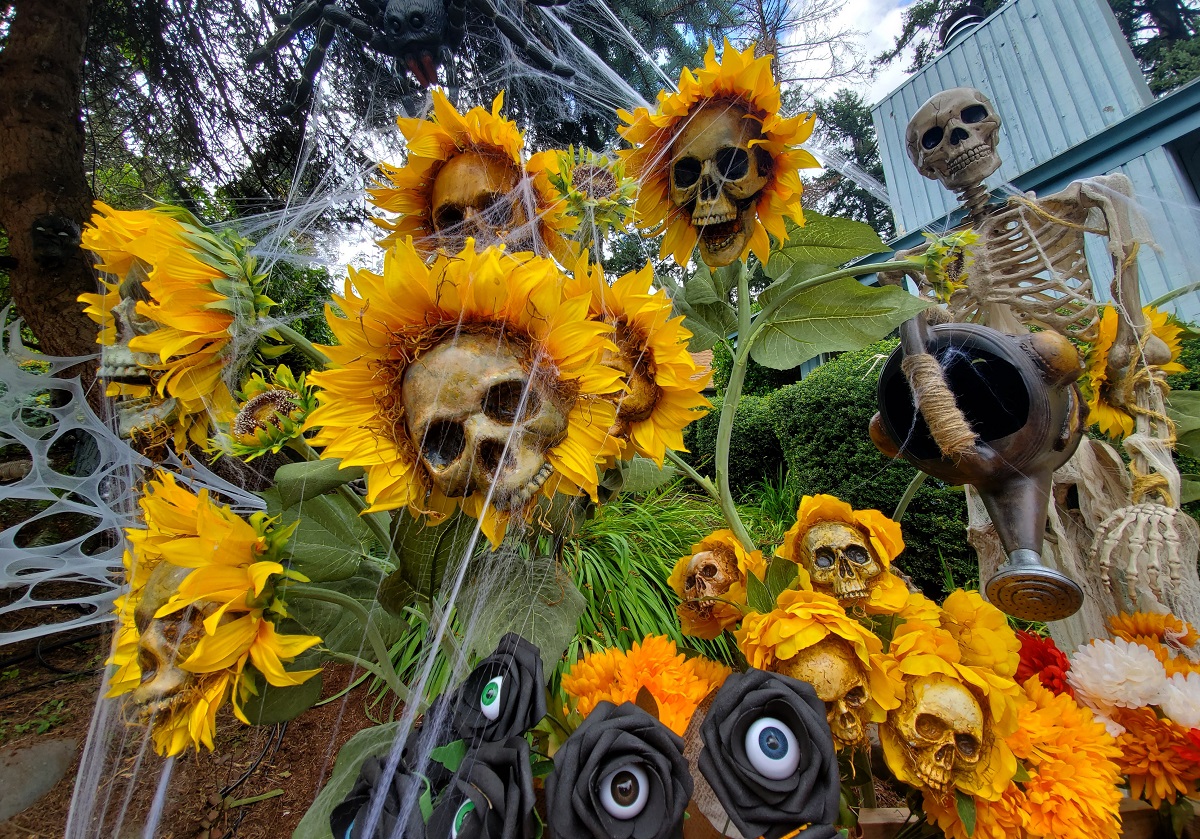 Dekoracje na Halloween - czaszki i słoneczniki