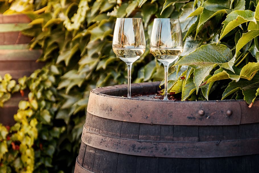 Jak Zrobić Własne Wino z Winogron? 3 Sprawdzone Przepisy