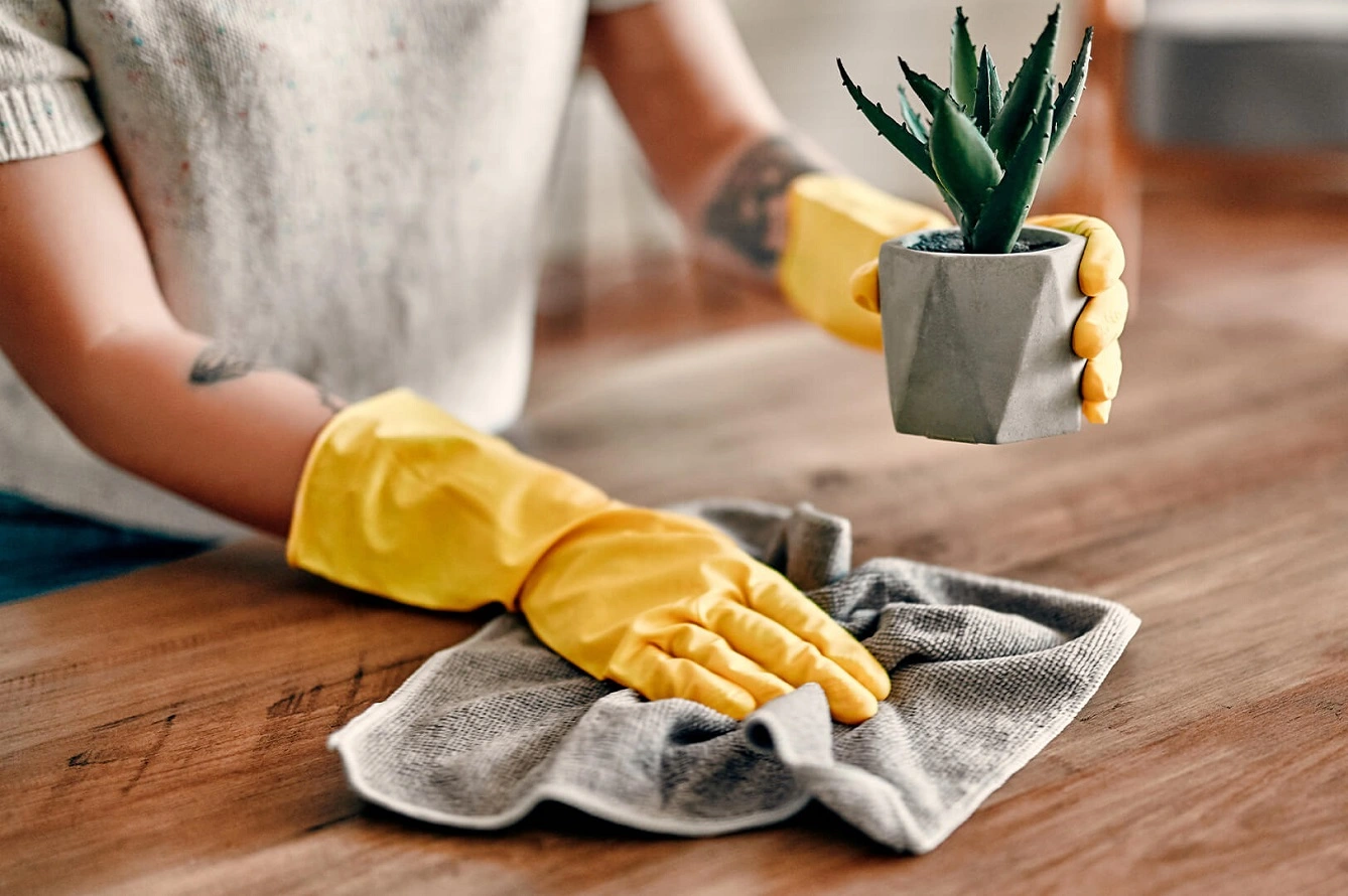 Poussière Excessive dans Votre Maison? Apprenez 4 Trucs Simples pour Nettoyer la Poussière