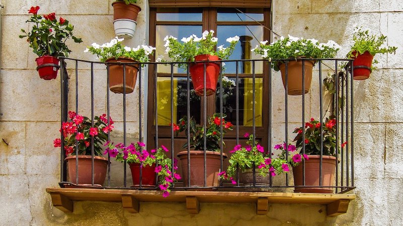 Balkon-Garten-Ideen - Prüfen Sie die Besten Pflanzen für Balkone