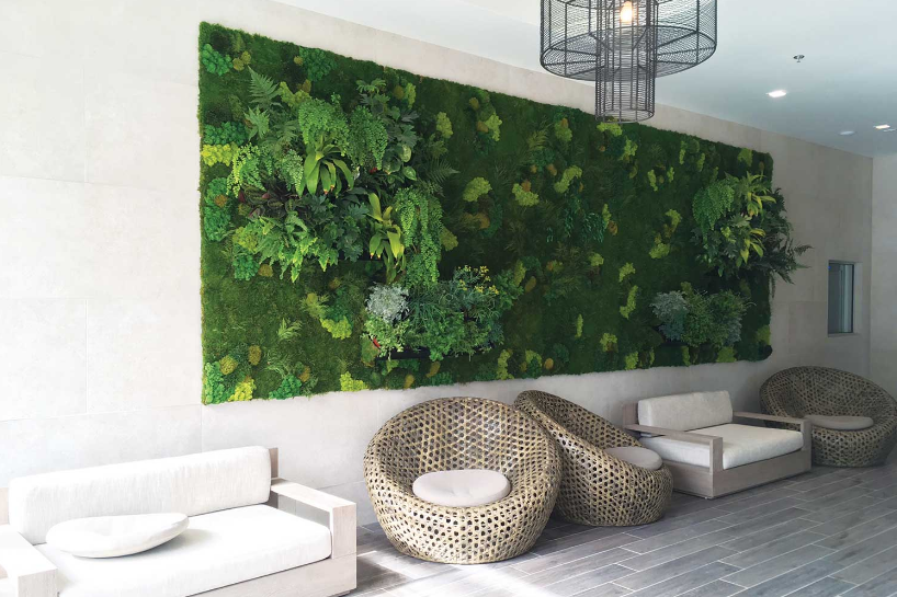 A plant wall at home - use moss