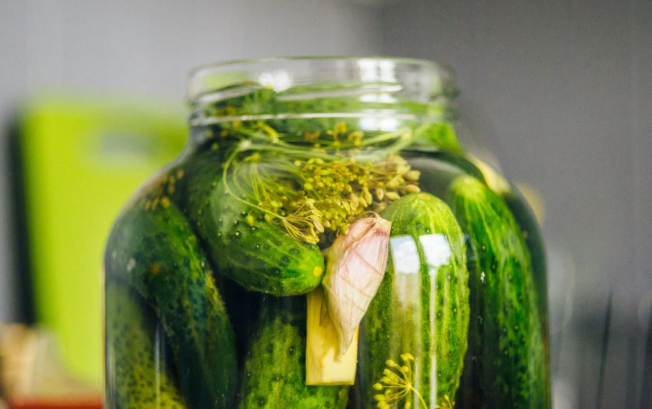 How To Make Pickles? 4 Proven Pickled Cucumber Recipes