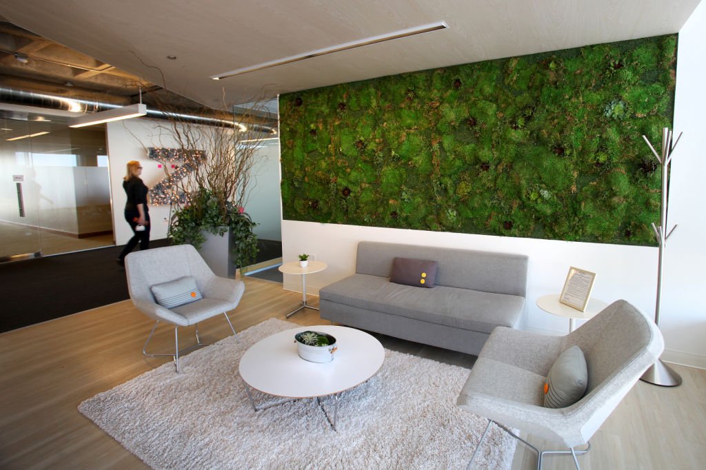 Moss wall ideas - where can you use moss wall decor?