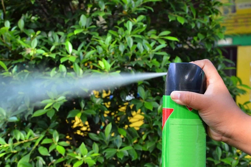 Bug spray – a temporary solution for flies in the house
