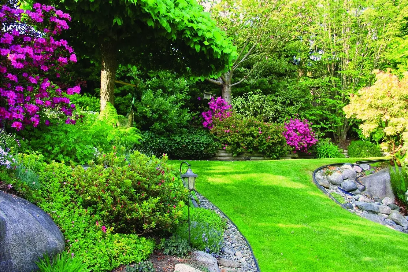 23 Evergreen Shrubs - Discover the Most Beautiful Evergreen Bushes