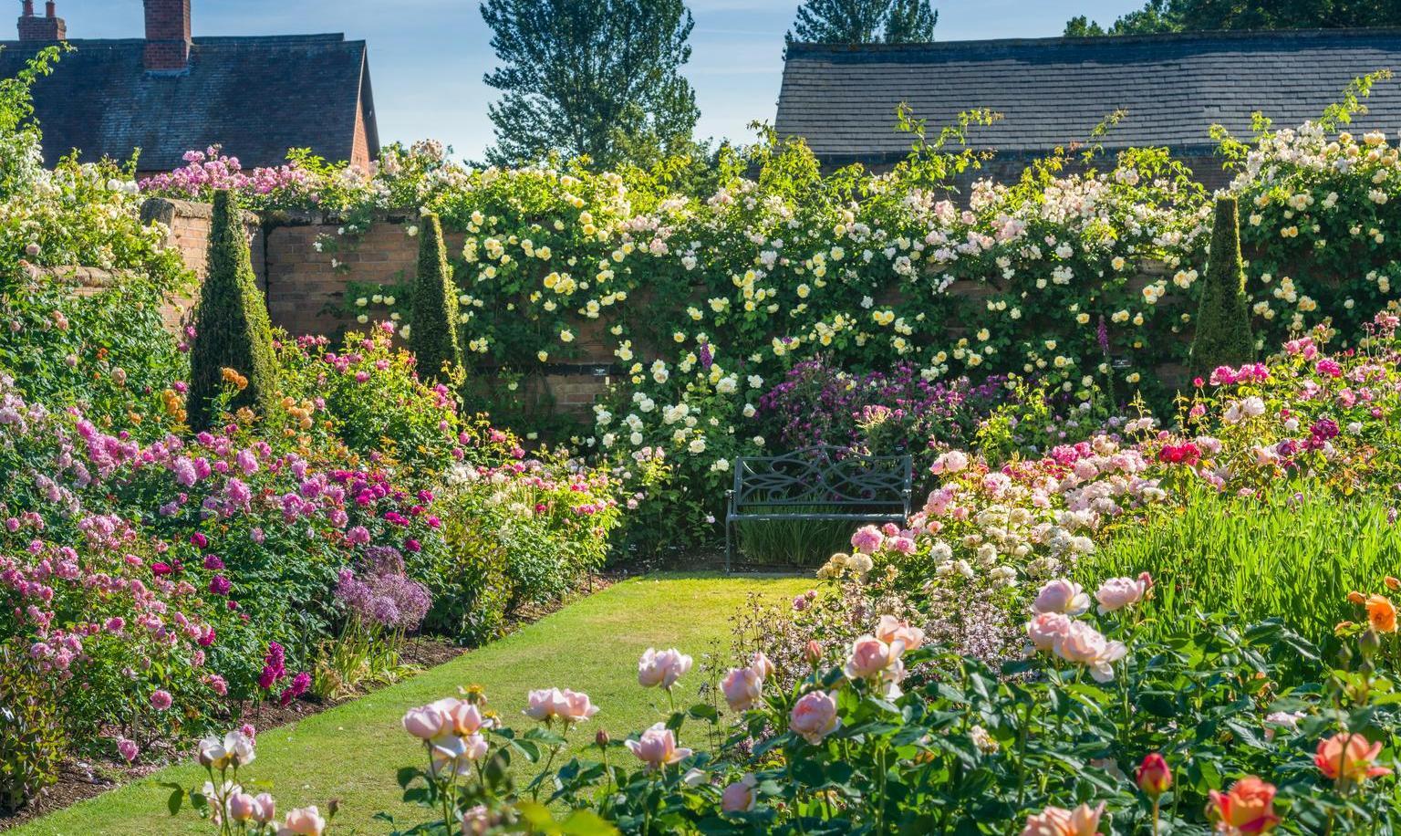 The English garden design - what shrubs to pick?
