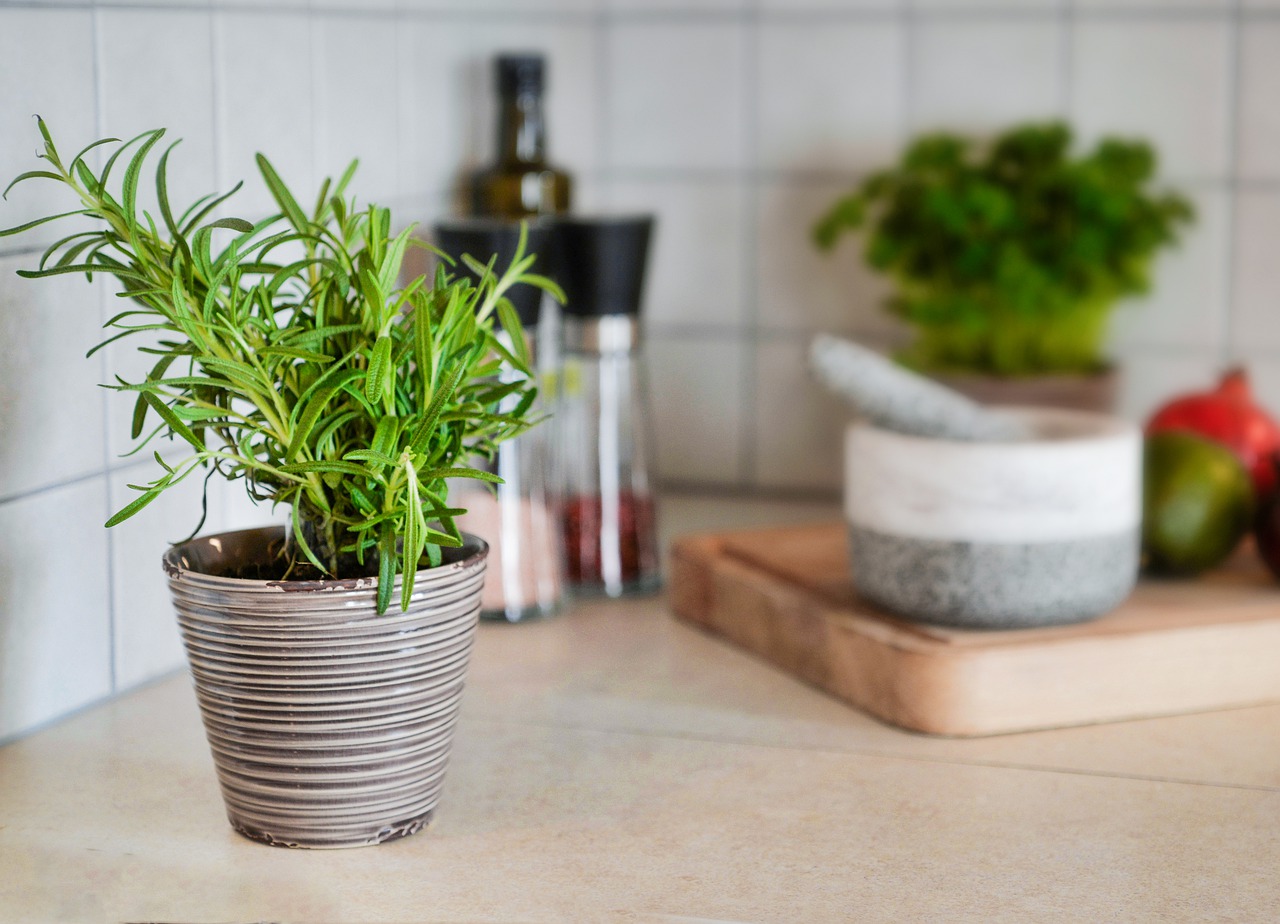 White kitchens love herbs and green accents
