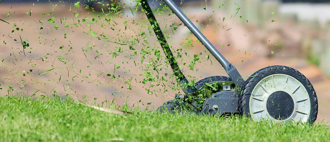 Can you plant grass seed in spring?