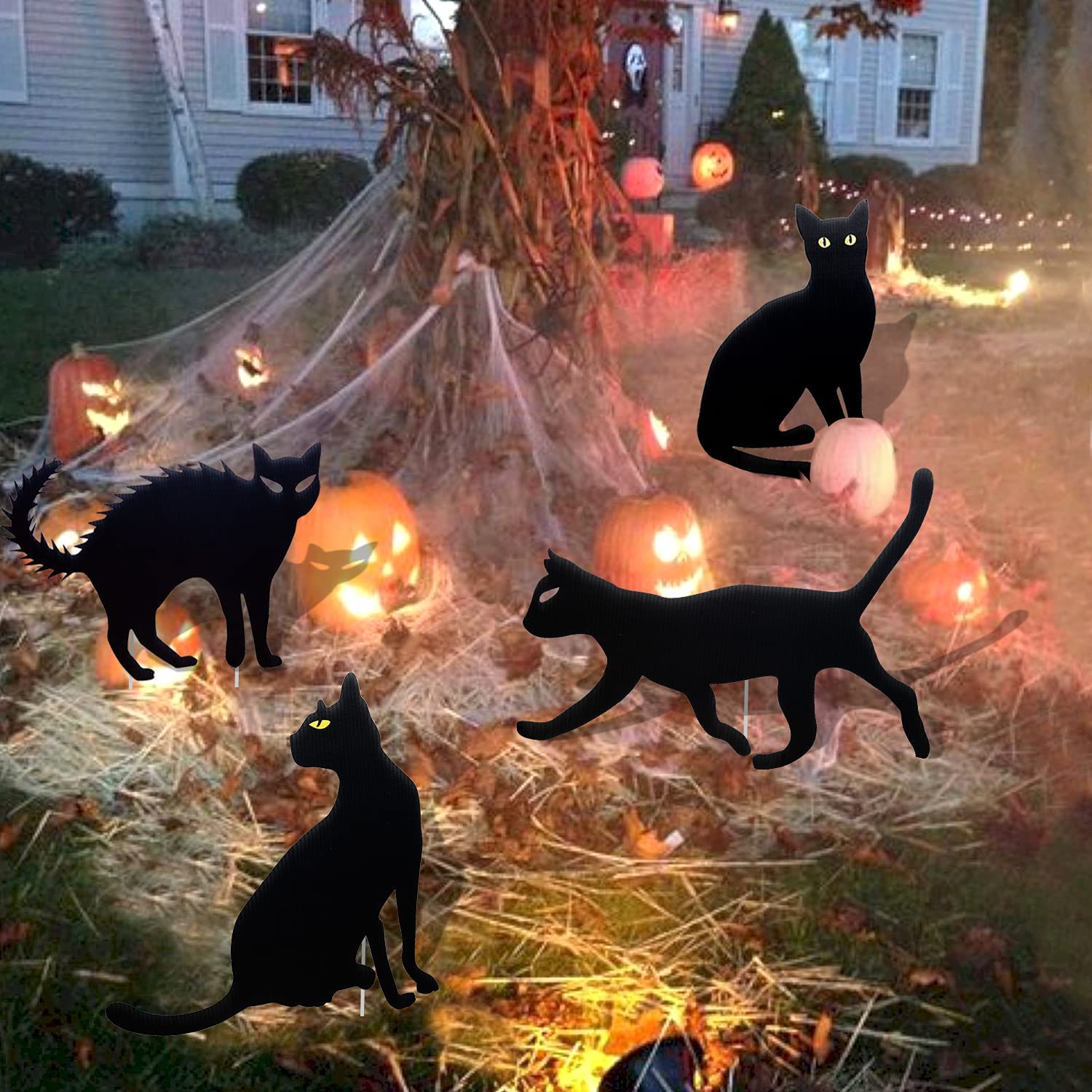 Eine schwarze Katze und Vögel - Halloween-Dekorationsideen