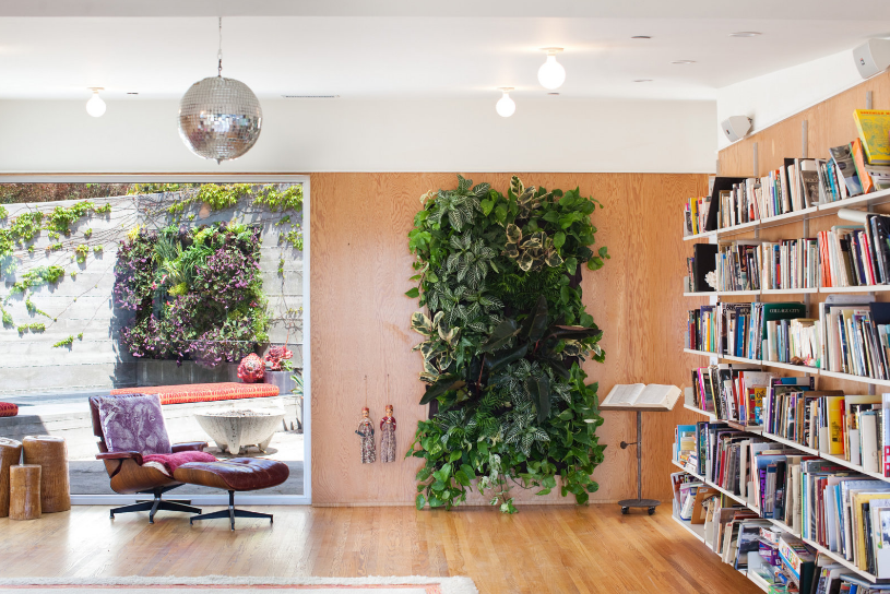 Un jardin vertical minimaliste inhabituel