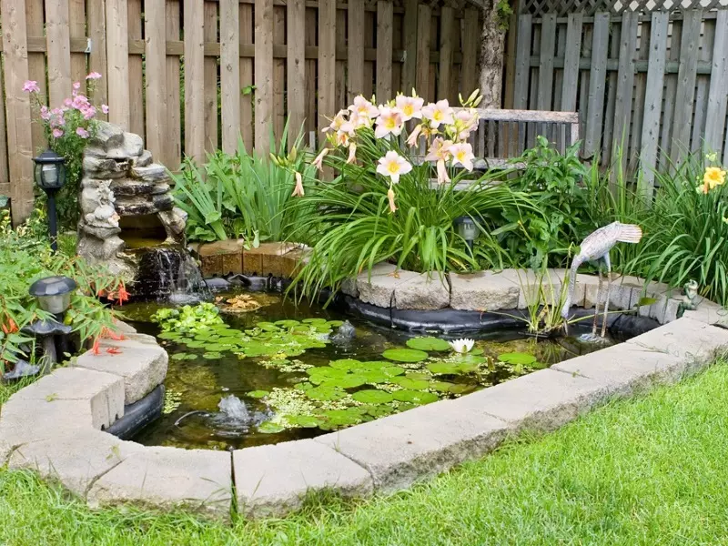 Un bassin de jardin est-il une bonne idée ?