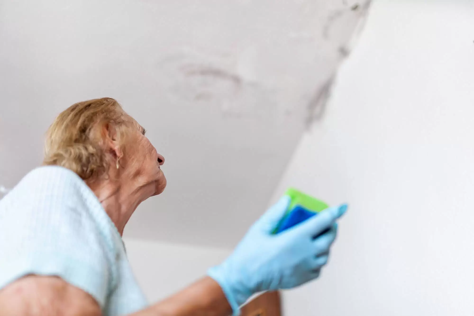 What's the difference between mold and mildew on a wall?