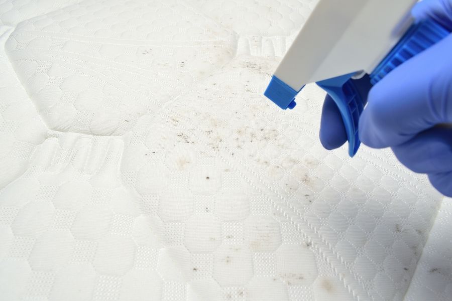 How to get urine out of a mattress?