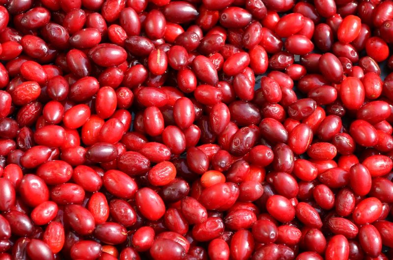 What are the benefits of cornelian cherry fruits?
