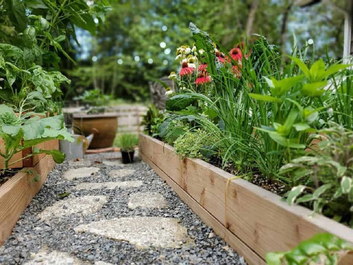4 Vegetable Garden Ideas - Learn How to Start a Vegetable Garden