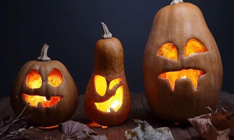 Halloween pumpkin designs