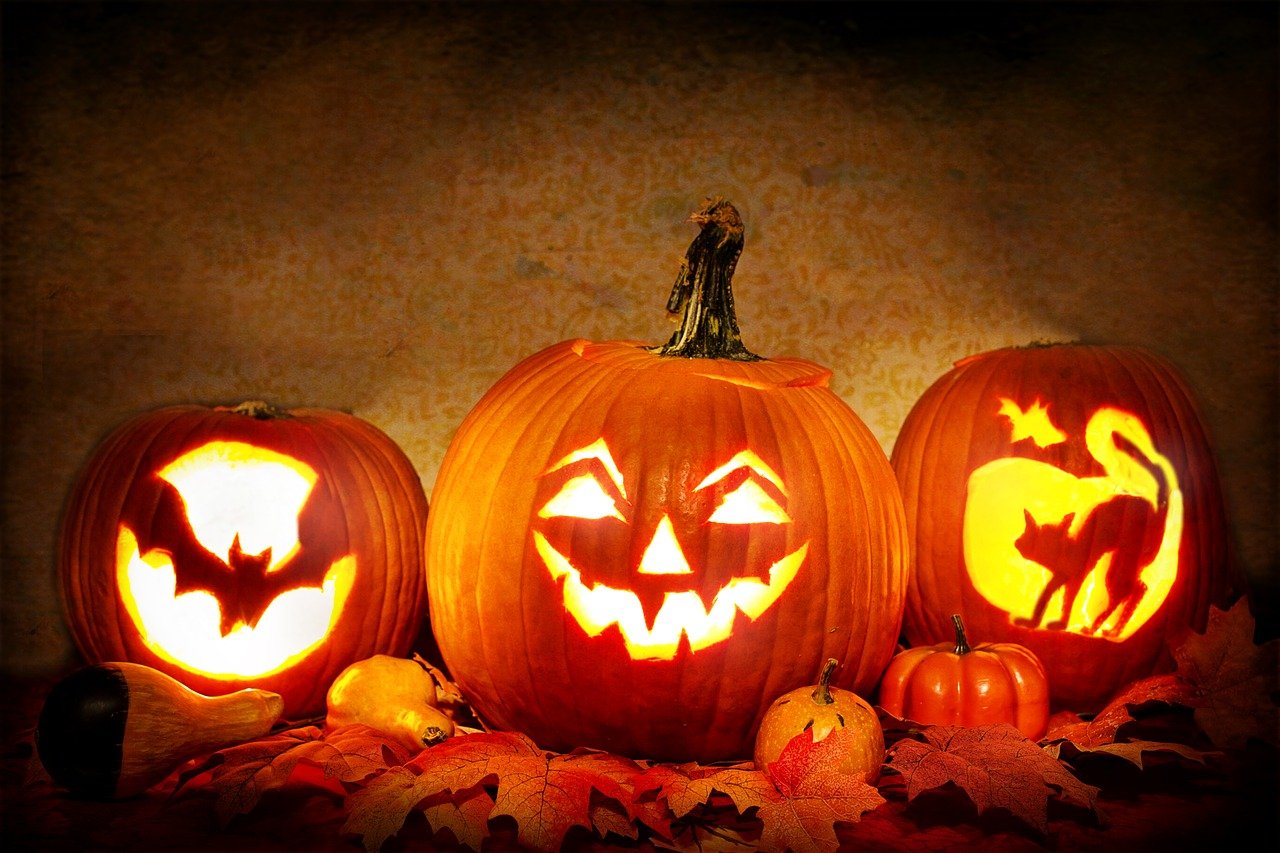 Halloween Jack-o'-lantern - pipistrello