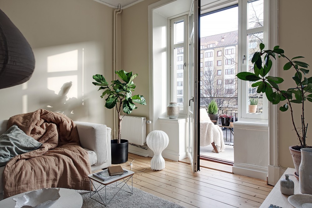 Ecru Farbe - ein Wohnzimmer und Pflanzen