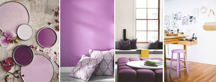 Is purple color good as a primary shade in the interior?