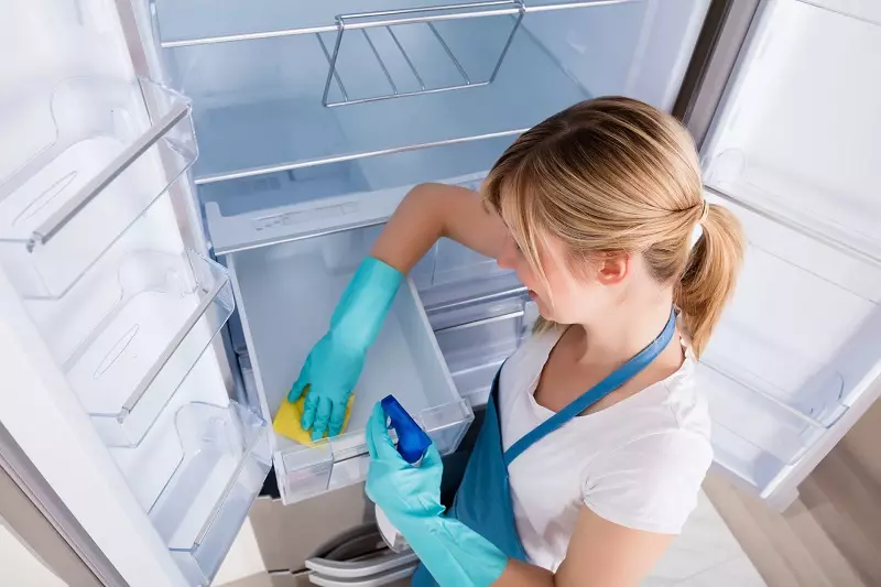 How to clean the refrigerator step by step?