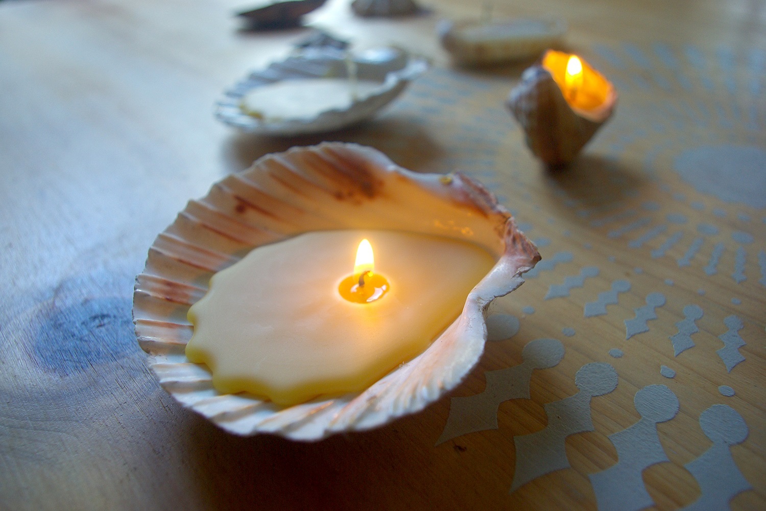 Ideas para velas de soja: haz velas con una concha marina