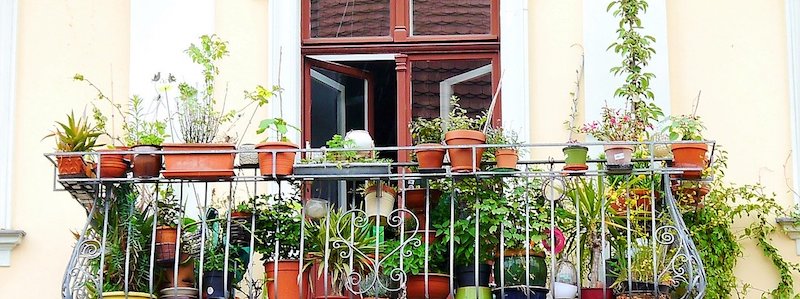 Balcony flowers - arrangement ideas