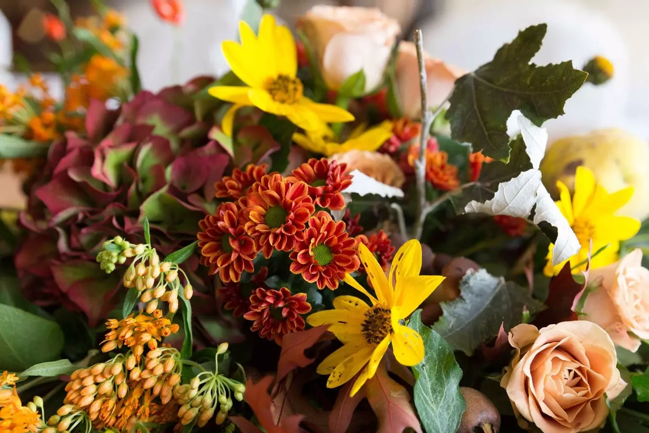 Осенние цветы - откройте для себя 22 самых популярных осенних цветов