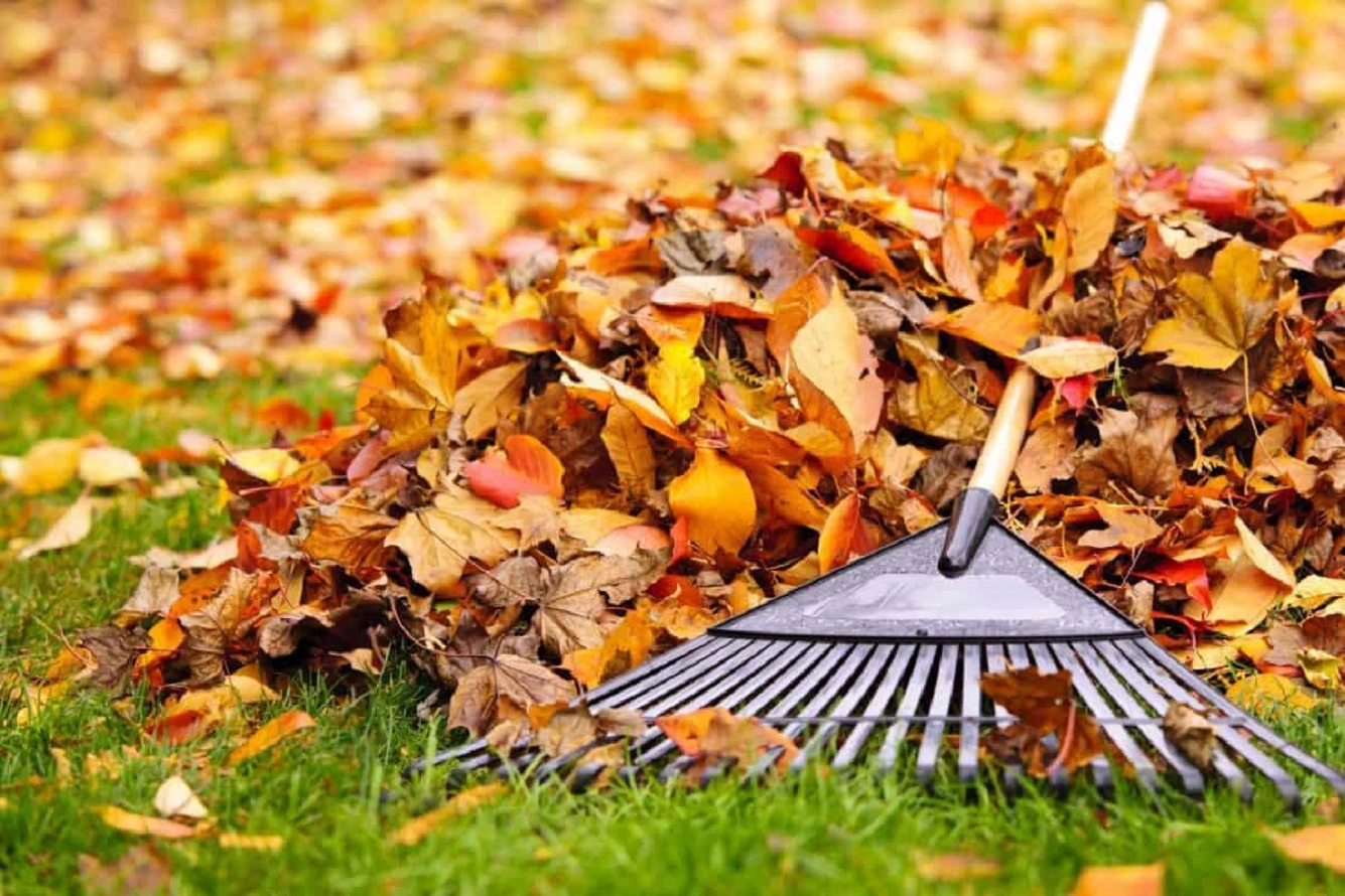 Herbst Landschaftsbau - Beste Herbst Garten Reinigung und Pflege Tipps