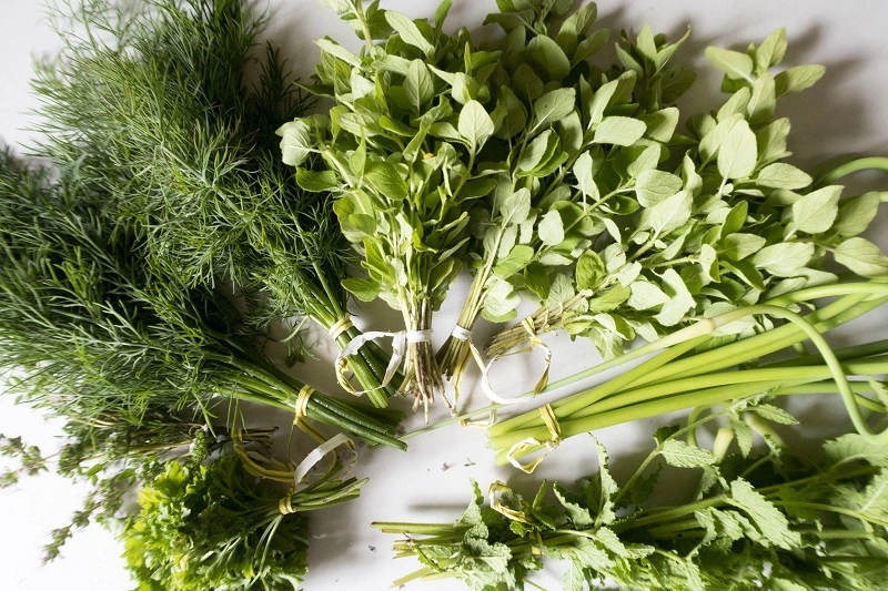 When to dry herbs?
