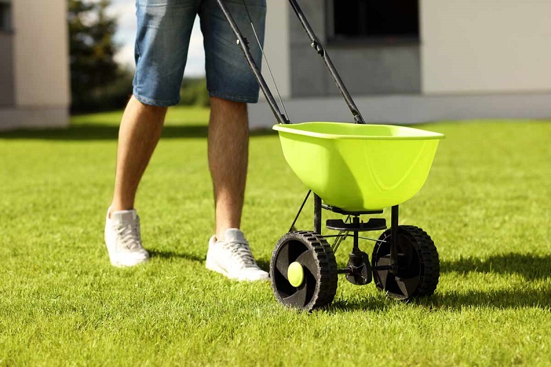 When to add lime to lawn?