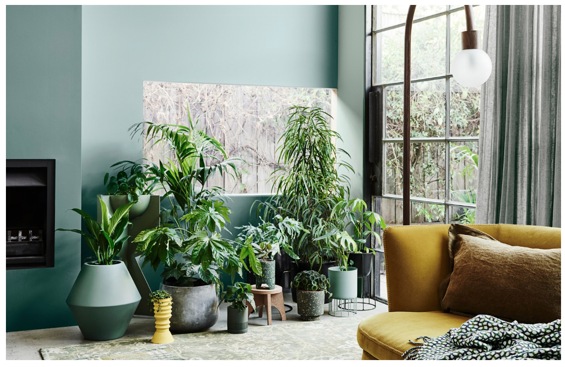 Mint color in the living room