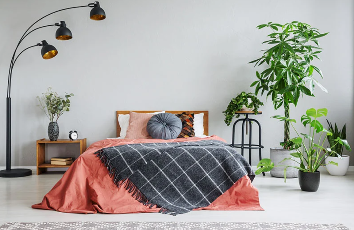 4 Pflanzen Schlafzimmer - Sehen Sie besten Pflanzen im Schlafzimmer