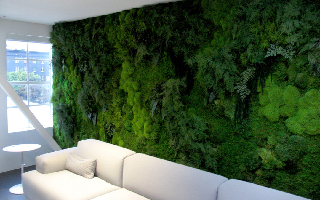Moss wall decor in the living room