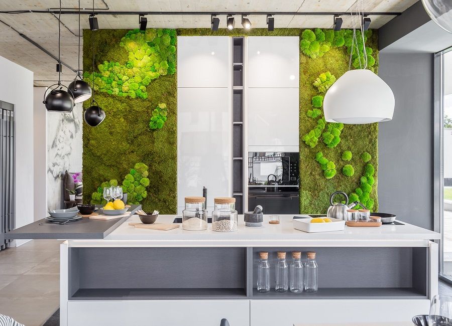 Moss wall in the kitchen