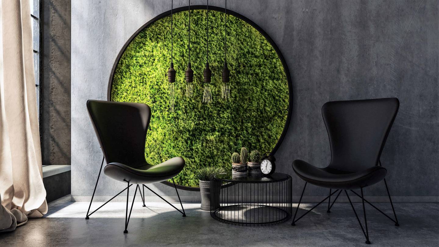 Unusual pictures - a moss wall in the living room