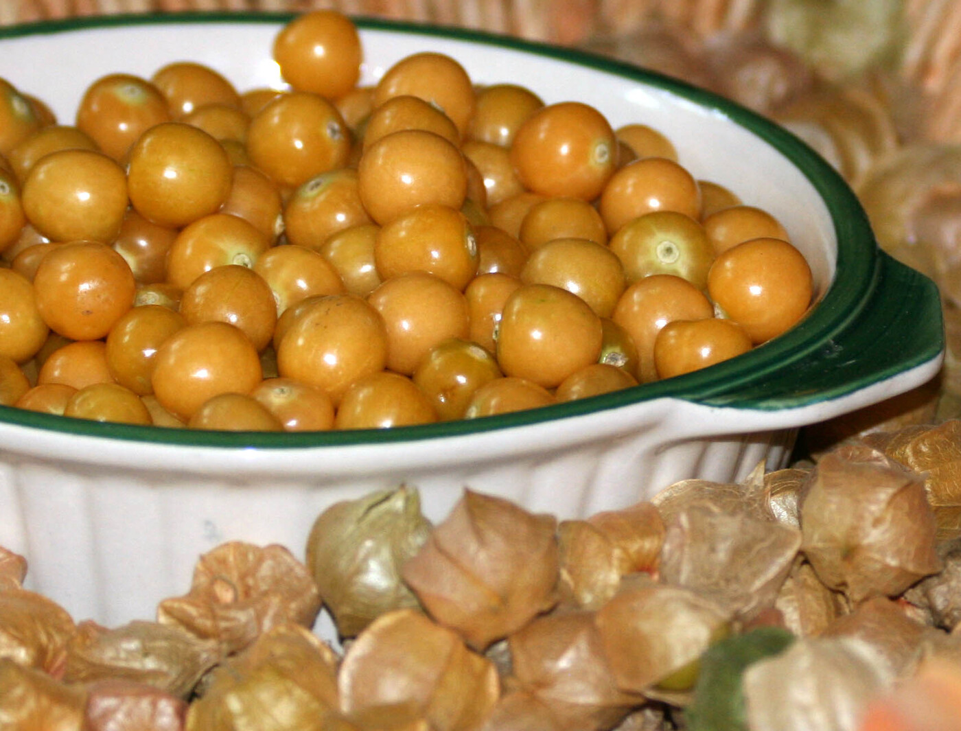 Who shouldn't eat ground cherries?
