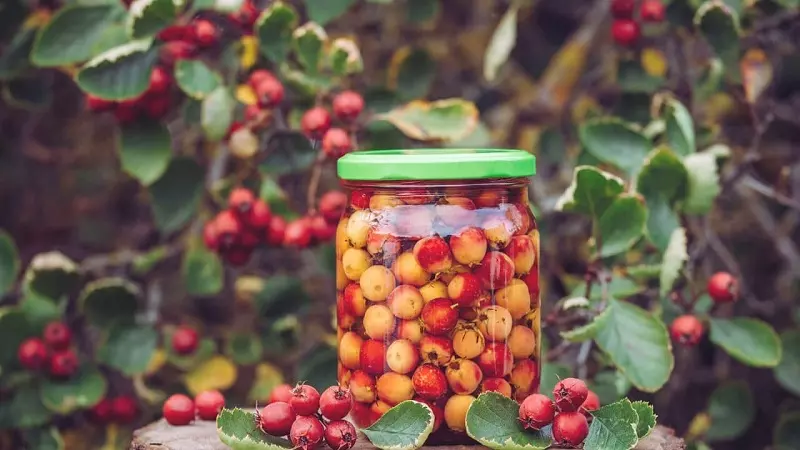 Hawthorn berry tincture – the recipe you must know
