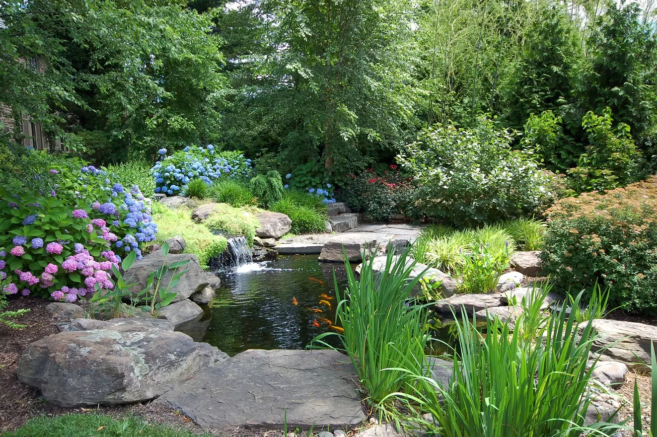 3 Идеи садового пруда - узнайте, как построить красивый пруд