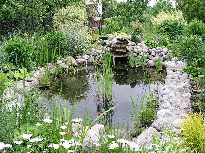 Un diseño clásico de estanque de jardín