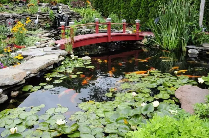 Un étang avec un pont