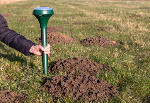 How to get rid of ground moles - sound mole repellent