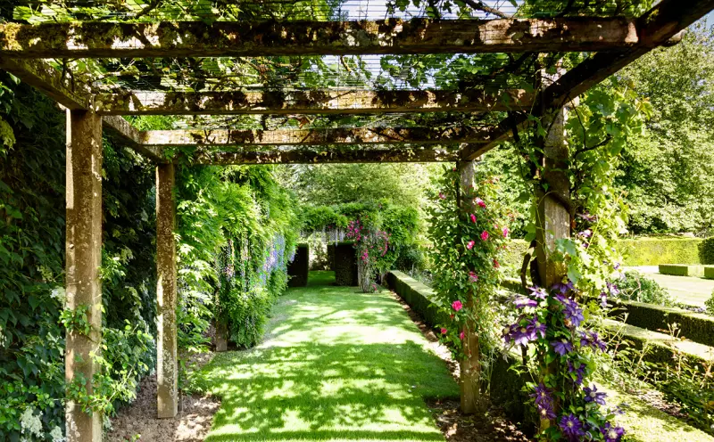Le piante rampicanti più popolari per il giardino inglese