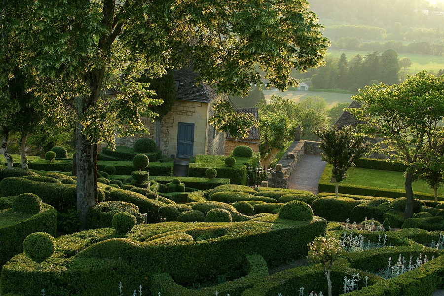 What are the best plants for a French garden design?