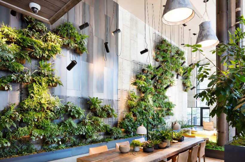 Hermosa decoración de pared con plantas vivas