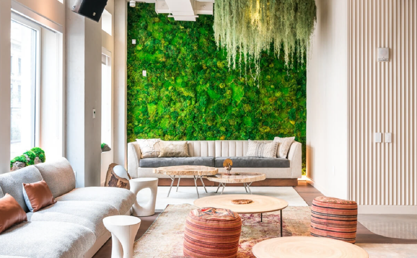 3 Pomysły Na Ogród Wertykalny - Zielona Ściana w Salonie