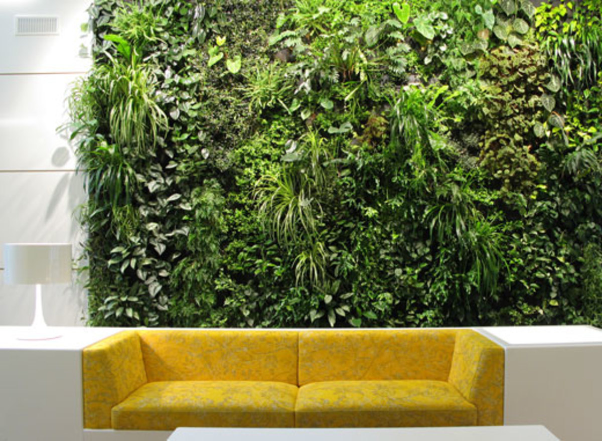What exactly is a vertical garden?