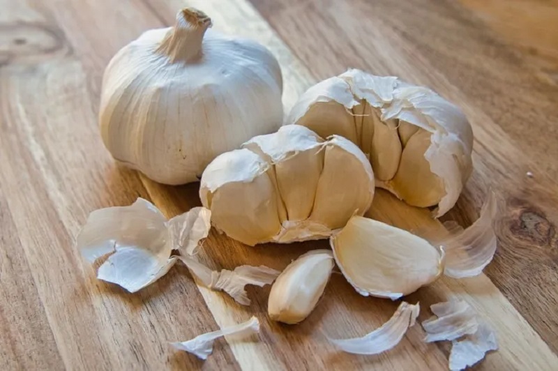 Garlic elixir for gray mold