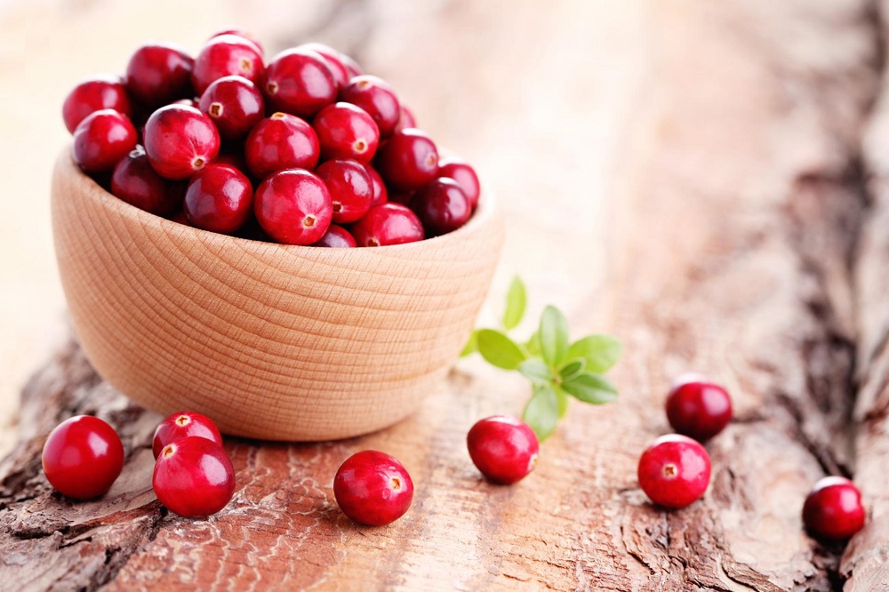Cranberries - what do they look like, and what are their features?